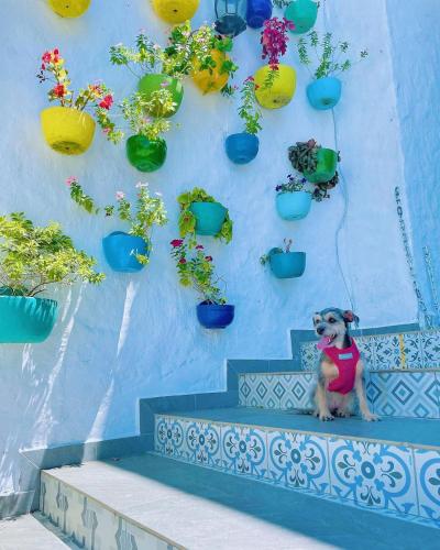 El santorini colombiano en Doradal in Doradal