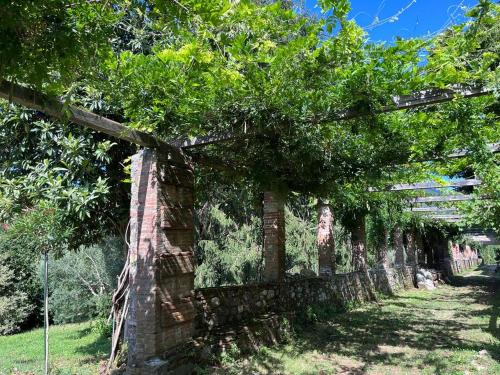 Podere il Giardino - Casale Rustico degli Ulivi con piscina e parco - Lucca