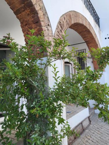 Solar de Arraiolos Charming House