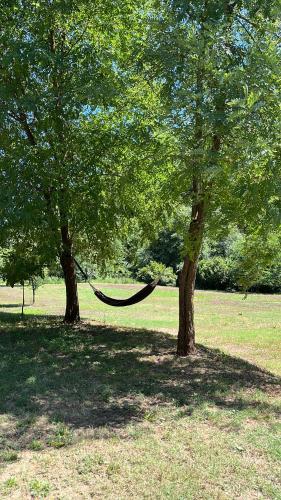  Agriturismo Rio Verde in Sasso Marconi