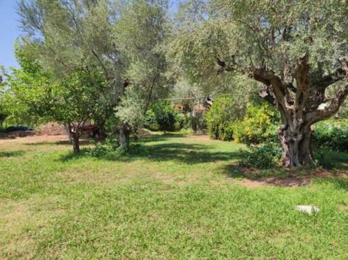 정원, Greek village life by the sea in 마라티아스 (포키스)