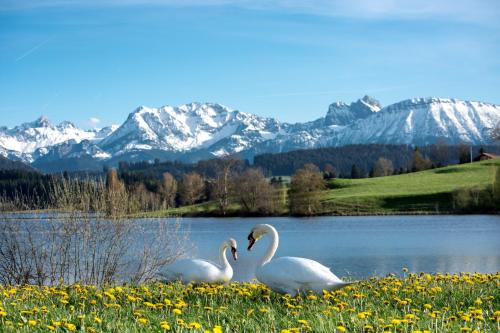 Direkt am See mit Bergblick