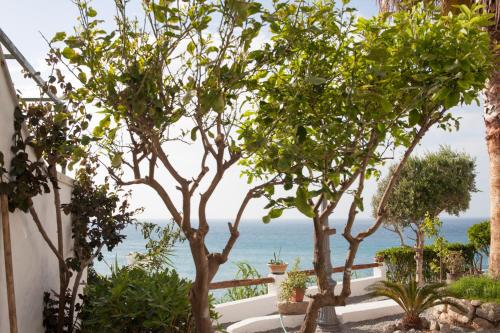 Double Room with Extra Bed and Sea View image 7