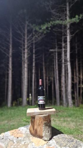 Bujtinat Skenderi Gjinar 2 Bujtinat Skenderi Gjinar 2