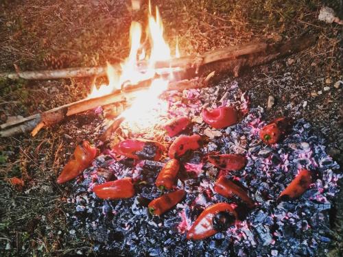 Bujtinat Skenderi Gjinar 2 Bujtinat Skenderi Gjinar 2