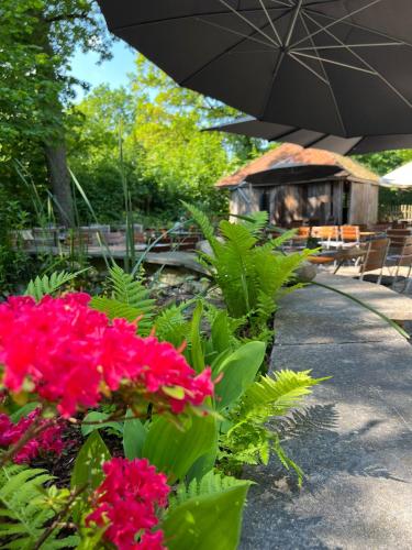 Waldhotel Eichenhof in 阿倫