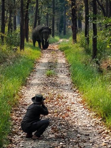 Bardiya Eco Safary Homestay in Thakudwara