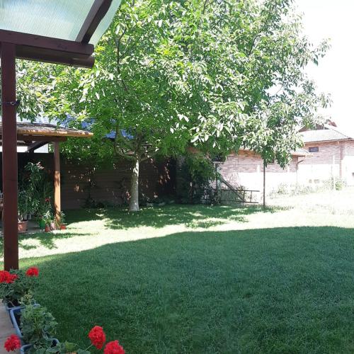 Sunshine Apartment - image 14