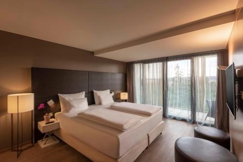 Radisson Blu Park Royal Palace Hotel Vienna - image 8