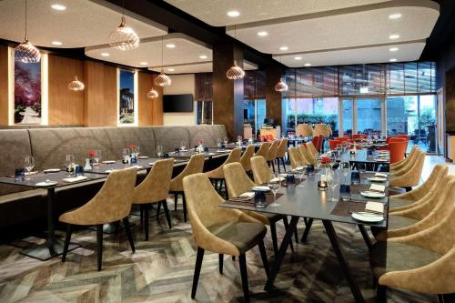 Hilton Garden Inn Tirana - image 6