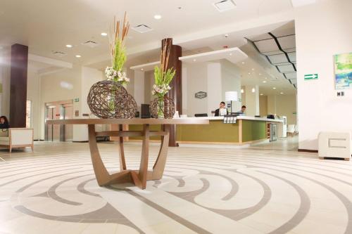 Hampton Inn & Suites by Hilton Aguascalientes Aeropuerto, Aguascalientes (fotografie 8)