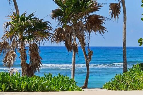 A Sanctuary by the Sea in Akumal, Mexico
