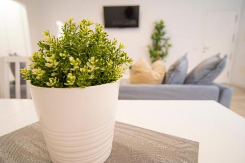 Instalaciones, Alojamiento Guayarmina in El Hierro