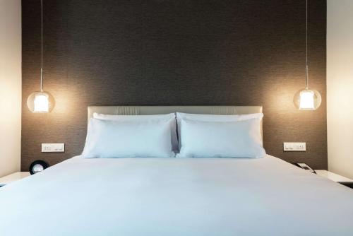 SORO Montevideo Curio Collection by Hilton - image 2