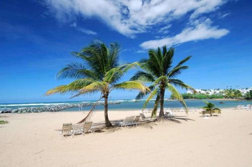 Embassy Suites by Hilton Dorado del Mar Beach Resort - image 7