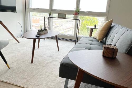 Studio Apartment, Queen Bed, WiFi, Kitchen, Washer & Dryer in Charlotte in Charlotte, USA
