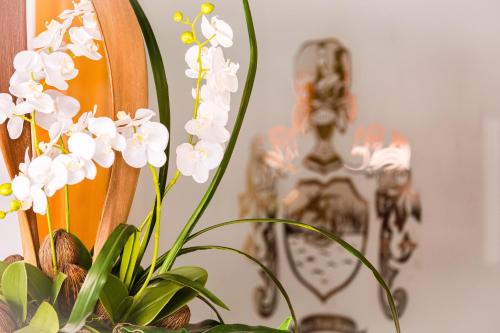 Hotel Playas de Paguera - image 11