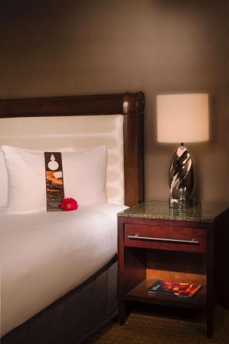 Hilton Minneapolis Room Type - Deluxe Double Room with City View