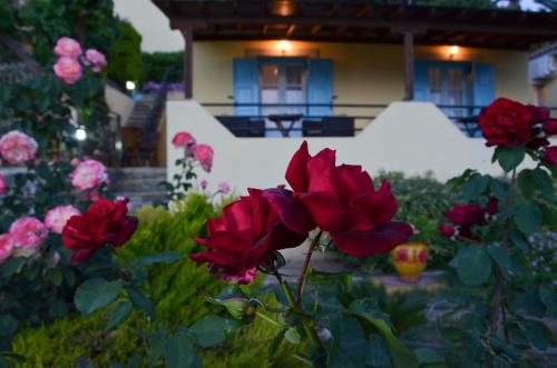 Hotel Dina - Ξενοδοχείο Ντινα - image 9