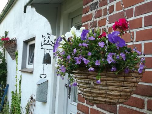 Ferienwohnung Brodersen