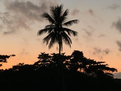 Omgeving, Green Queendom Farm and Lodging in Oracabessa