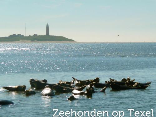 Apartment in Friesland near the Coast, Westermient (zdjęcie 9)