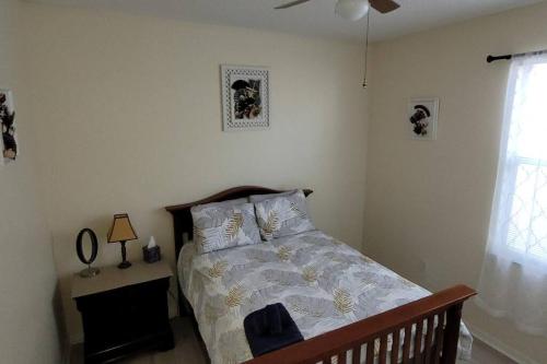 Charming Vacation House 3Be 2Ba Solar heated pool in Tampa, USA
