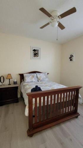 Charming Vacation House 3Be 2Ba Solar heated pool in Tampa, USA
