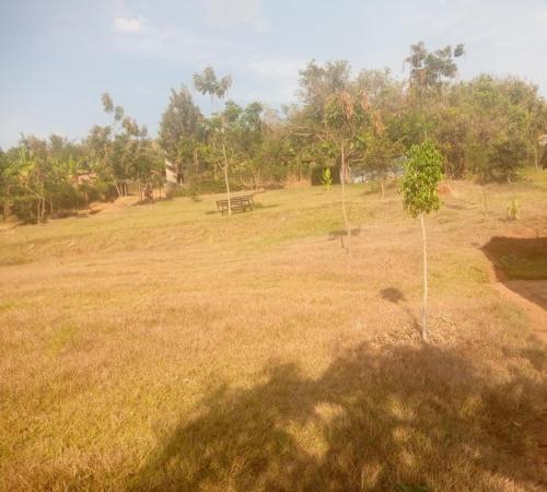 Akagera homestay