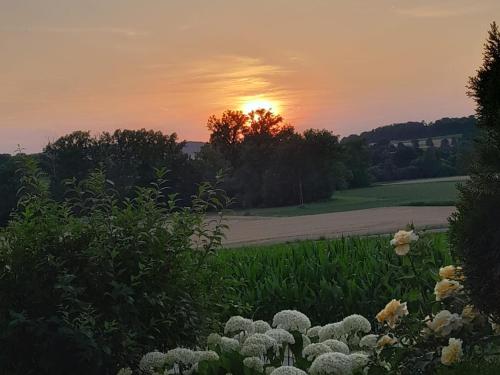 Kilátás, Villa Casa sol-rural residence near Linz in Katsdorf