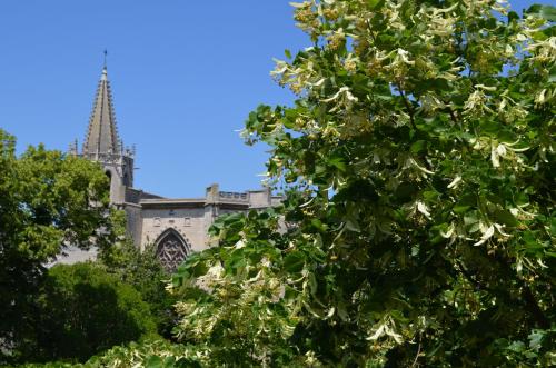 Hôtel Les Corps Saints - image 3