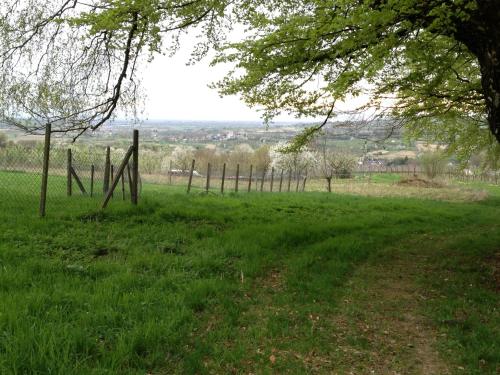 Rosenhof Broggingen Rosenhof Broggingen