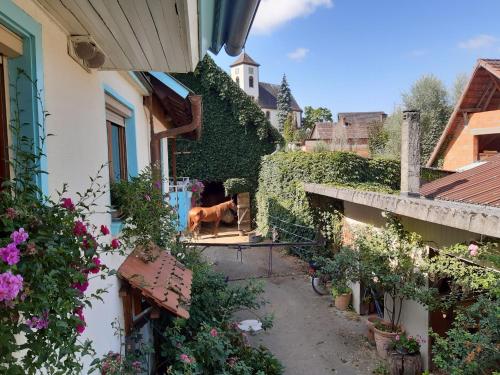 Rosenhof Broggingen Rosenhof Broggingen