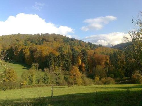 Rosenhof Broggingen Rosenhof Broggingen