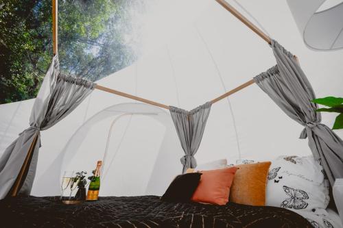 Golden Glamping nad Narwią