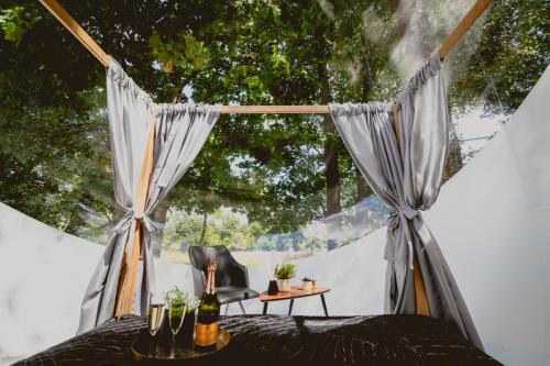 Golden Glamping nad Narwią