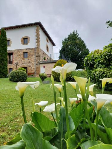 Vivienda Rural - Apartamentos La Cueva - Hornedo