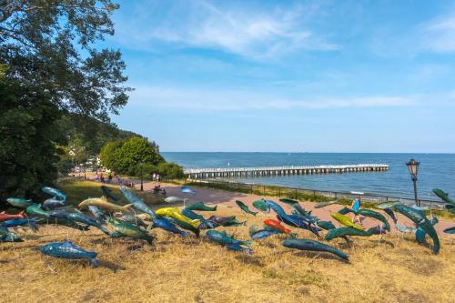 Orlowo Park - Spacious Apartment with Winter Garden by Noclegi Renters