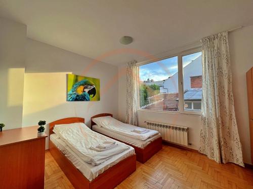 Tranquil Retreat in the Heart of Sofia: 2BR, Sofía (foto 5)
