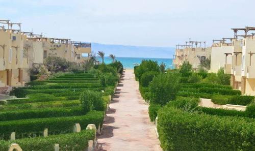 Blu lagon FOR FAMILY in Ras Sedr