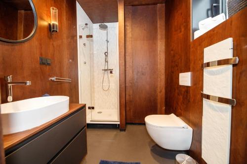 douche, Modul Kometa in Frymburk