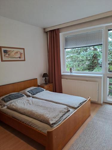 Apartmán s terasou, Olomouc