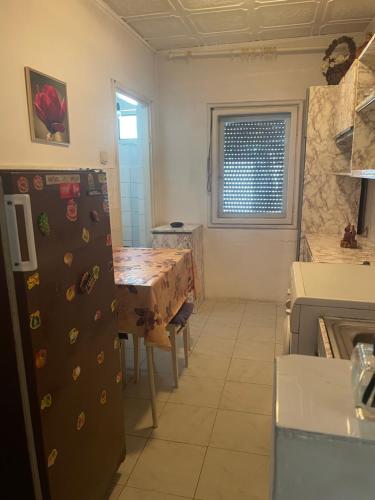 Apartament închiriat Băile Herculane