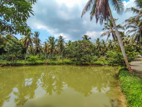 Peacock Village Pinnawala