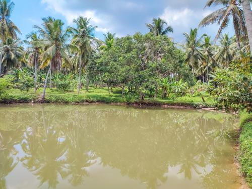 Peacock Village Pinnawala