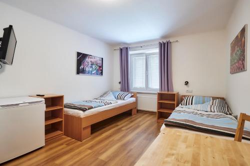 Apartmány Ubytování Alfa, Praga (foto 3)