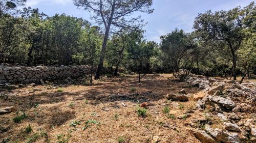 Charmante maison en pierre au coeur de la forêt