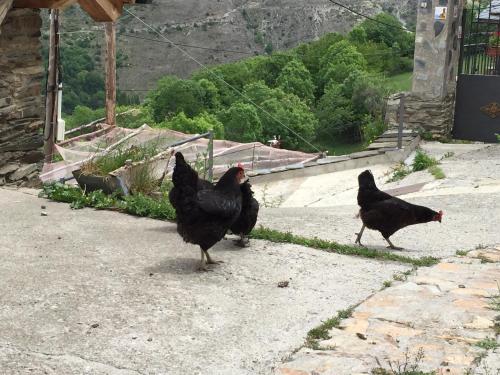 Lo Paller de Roc - image 8