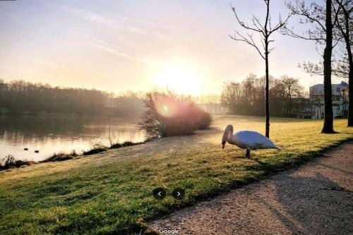 Séjour en famille ou amis à Disneyland & Paris (Sejour en famille ou amis a Disneyland & Paris) in Lognes