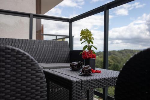Apart Invest Green Park Resort C12-z dostępem do strefy spa, Szklarska Poręba (photo 7)